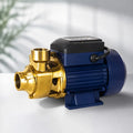 POMPE RHINO QB-70 35L/MIN