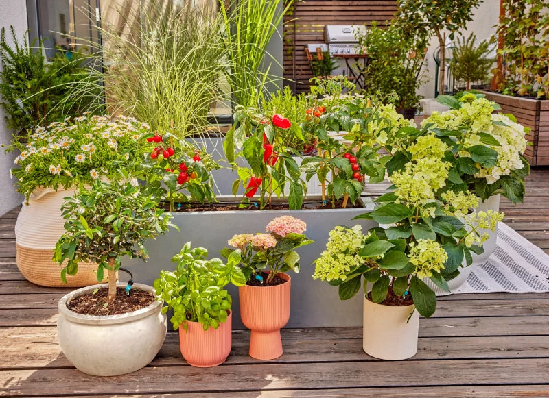 Goutteur réglable Gardena installé dans un bac à fleurs