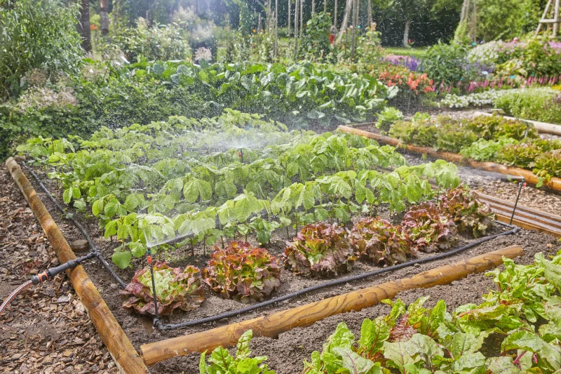 Buse de pulvérisation Gardena arrosant un carré potager en fine brume