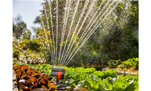 Arroseur AquaZoom compact en fonctionnement au jardin