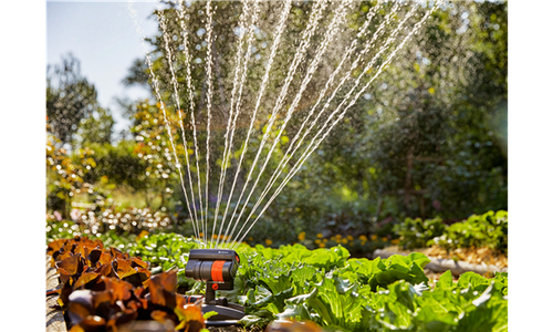Arroseur AquaZoom compact en fonctionnement au jardin