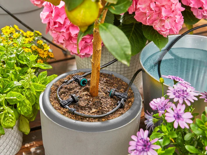 Solution d'arrosage automatique solaire AquaBloom Gardena — photo 9