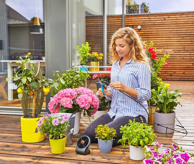 Solution d'arrosage automatique solaire AquaBloom Gardena — vue d'ensemble
