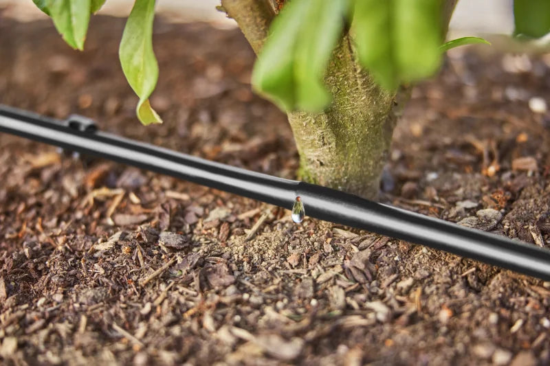 Tuyau à goutteurs incorporés Gardena posé le long d'une haie