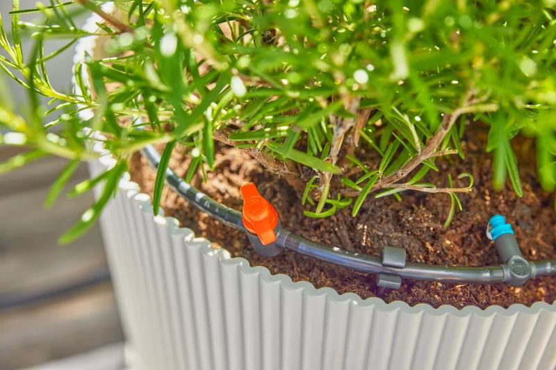 Tuyau 4,6 mm du kit Gardena courant entre les jardinières