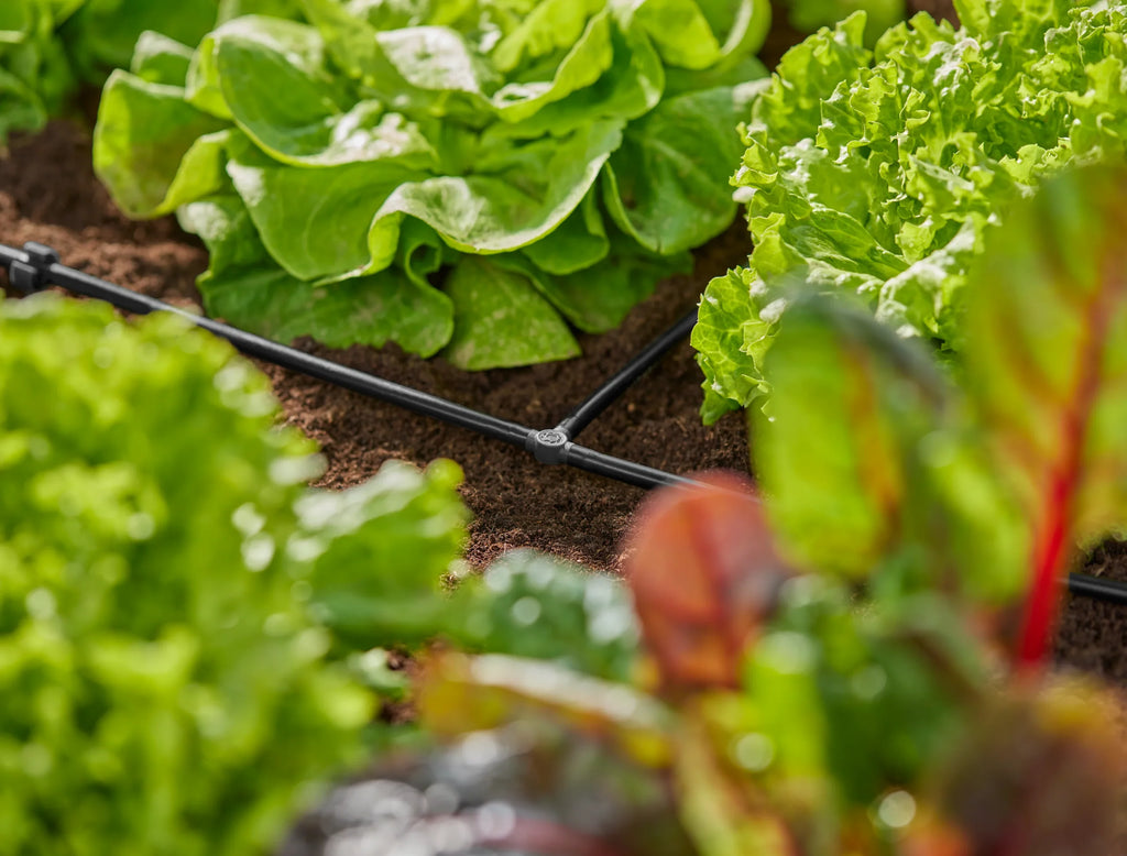 Détail du raccord en T 4.6 mm du Micro-Drip-System Gardena