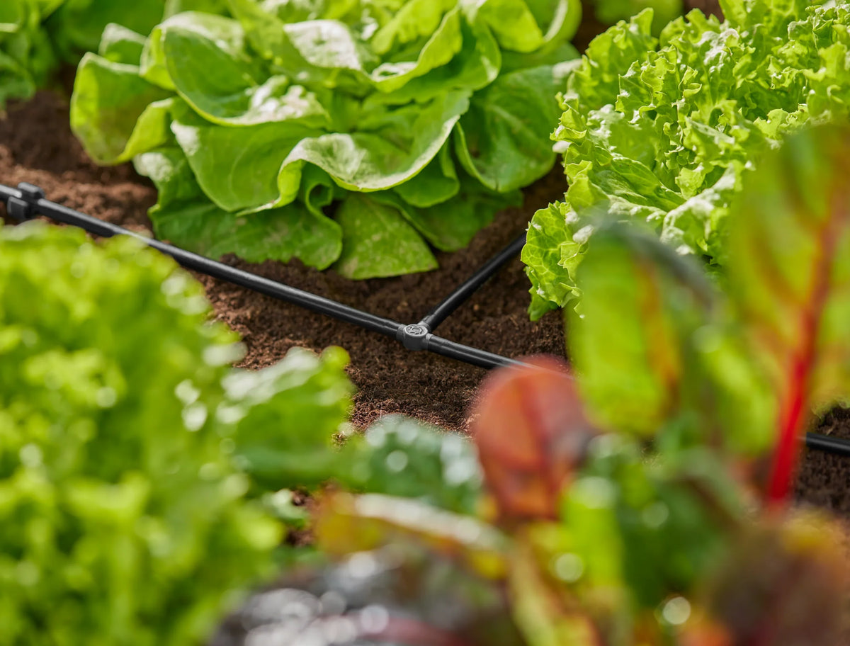 Détail du raccord en T 4.6 mm du Micro-Drip-System Gardena