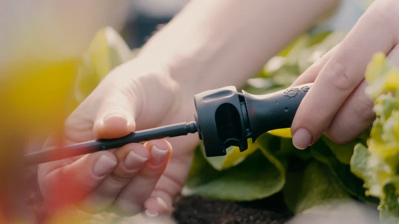 Installation Micro-Drip-System Gardena au pied des plantations