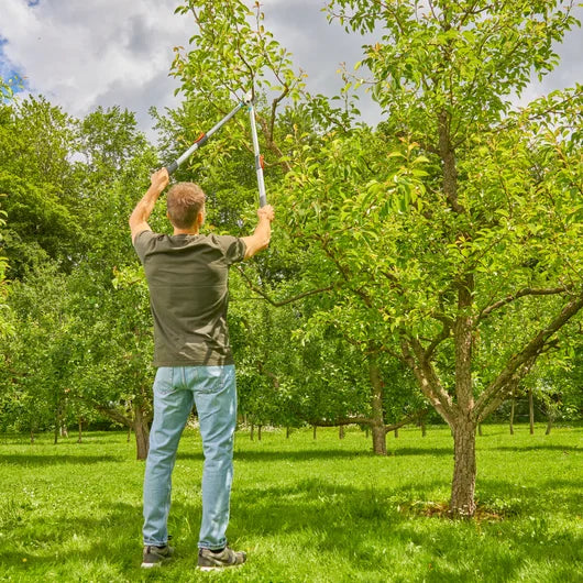 Coupe-branches télescopique TeleCut Basic 650-900 mm Gardena