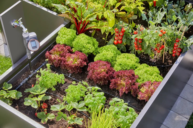 Tuyau de raccordement 13 mm du kit Gardena posé dans un potager