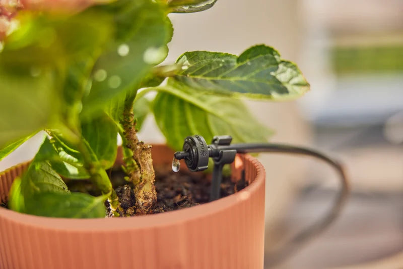 Raccordement Quick and Easy du micro-arrosage Gardena