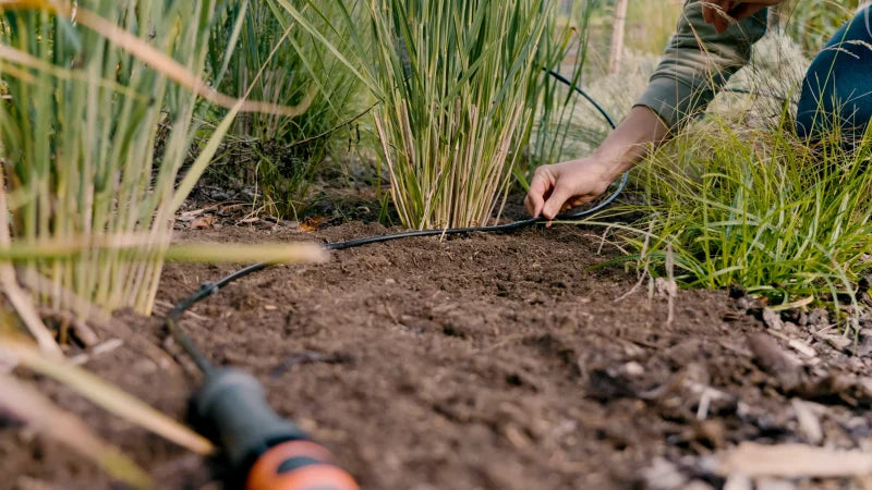 Goutteur intégré Gardena diffusant l'eau au pied d'un plant