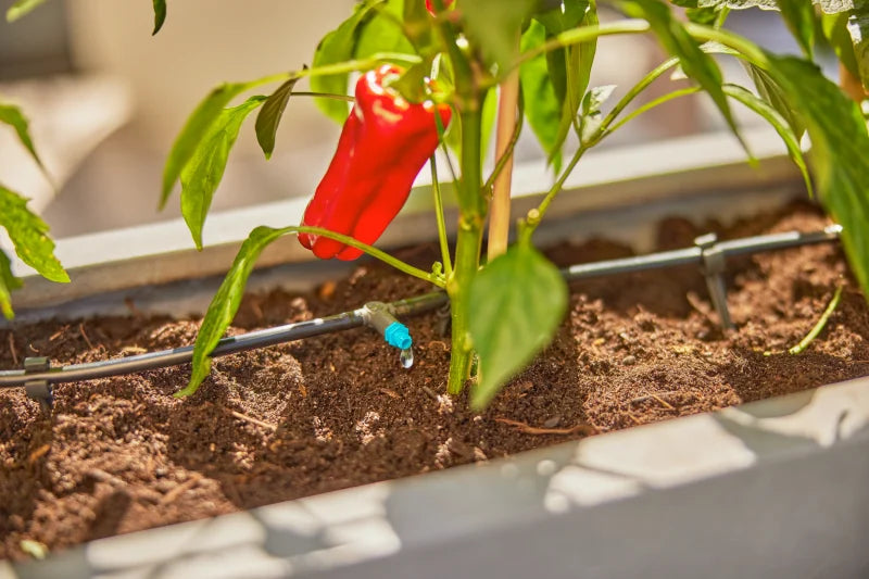 Arrosage automatique de plantes en pot sur une terrasse avec le kit Gardena