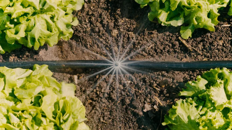 Installation du kit d'arrosage Gardena dans un massif de fleurs