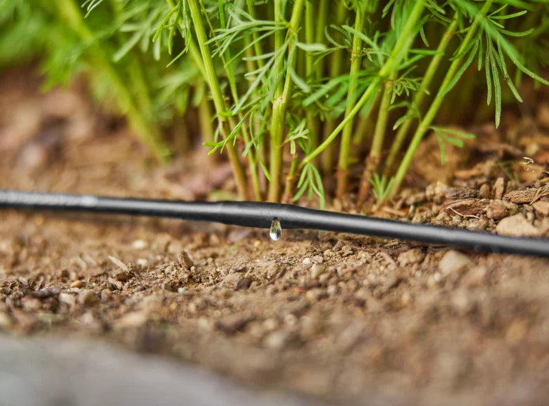 Tuyau à goutteurs intégrés Gardena posé le long d'une rangée de plantes
