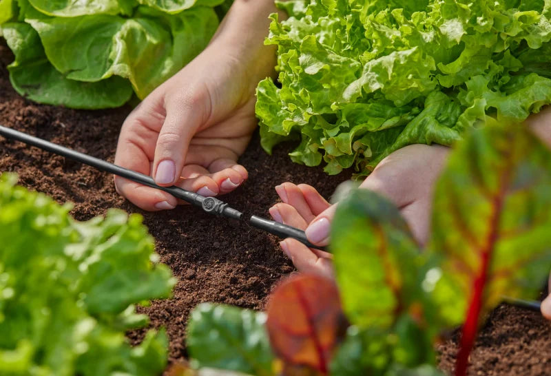 Jonction droite 4,6 mm installée sur un tuyau d'alimentation Micro-Drip-System