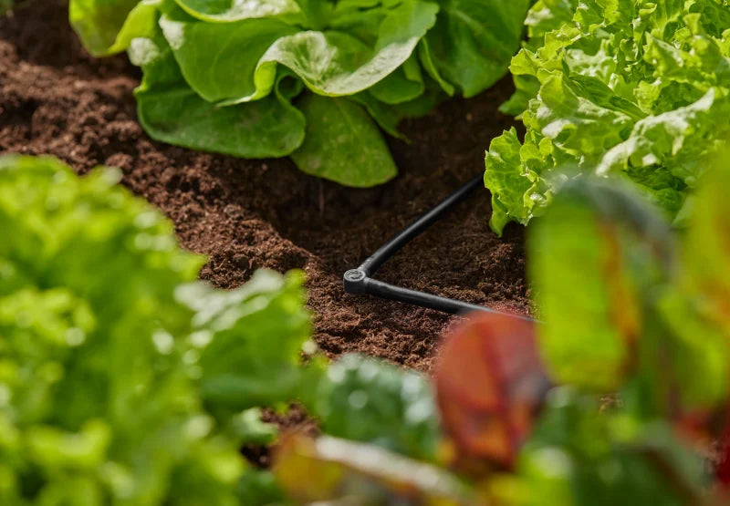 Installation Micro-Drip-System Gardena dans une plate-bande