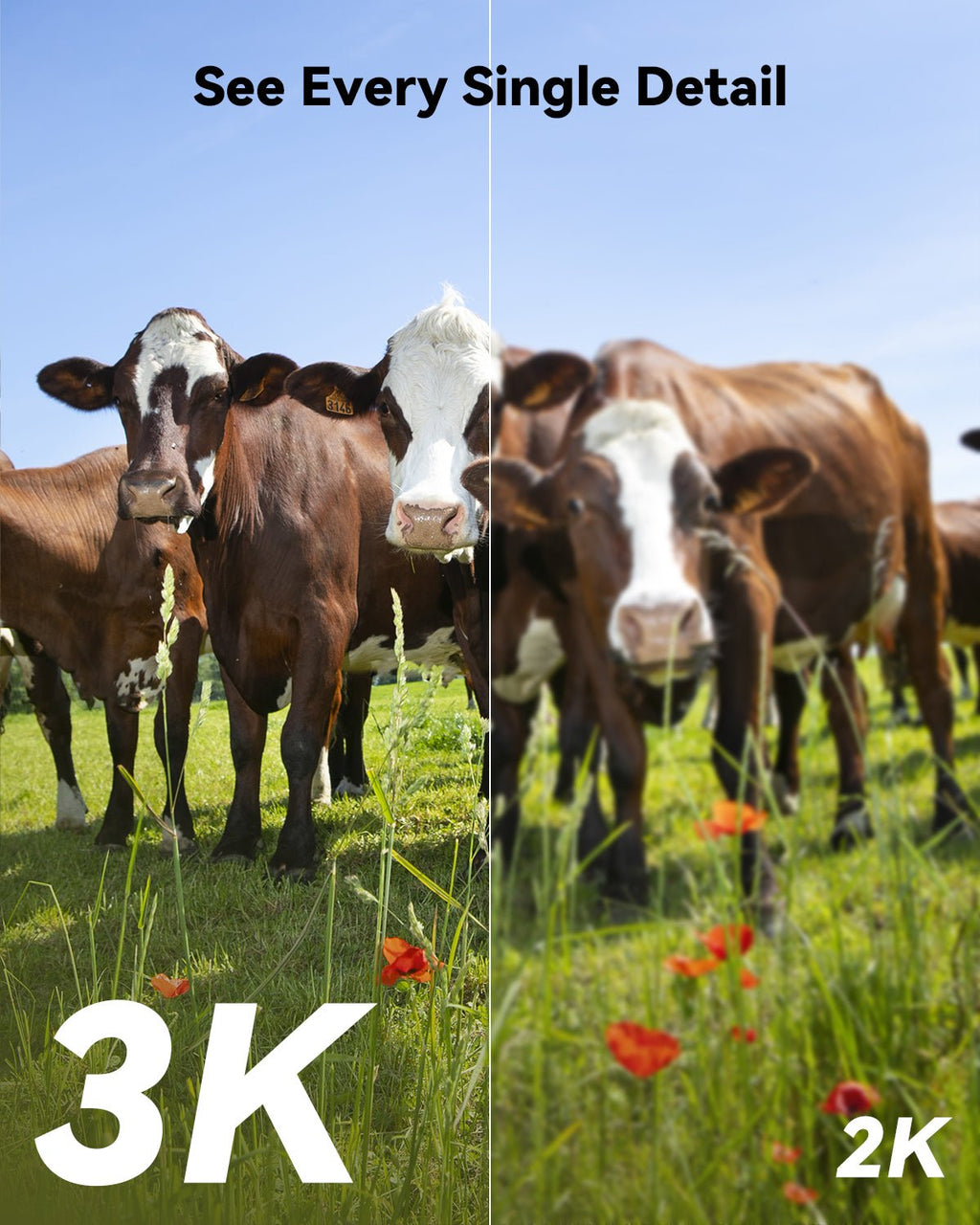 Caméra 4G Imou AOV PT 5 MP
