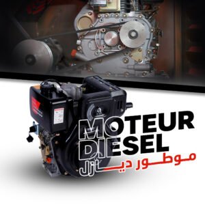 MOTEUR DIESEL 186FS